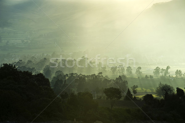 Yarım saat gün batımı doğa rezerv Ekvador Stok fotoğraf © xura