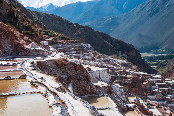 Inca tradycyjny soli kopalni dziedzinie Zdjęcia stock © xura
