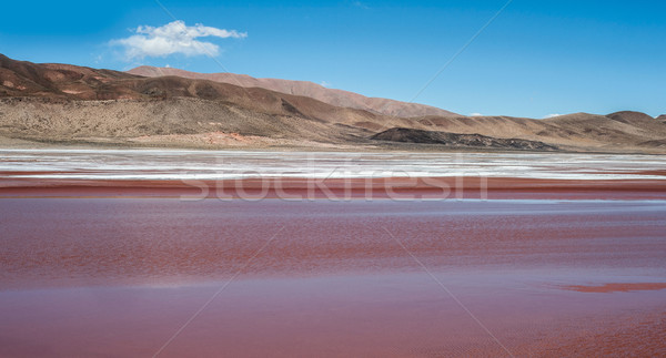 Northwest Argentina - Salinas Grandes Desert Landscape Stock photo © xura