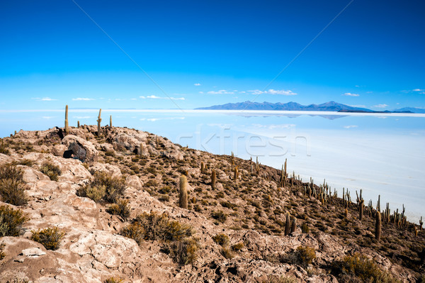 Salt lake - Salar de Uyuni in Bolivia Stock photo © xura