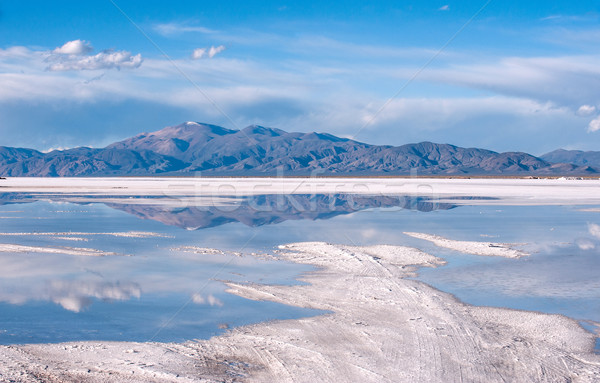 Salinas Grandes on Argentina Andes is a salt desert in the Jujuy Stock photo © xura