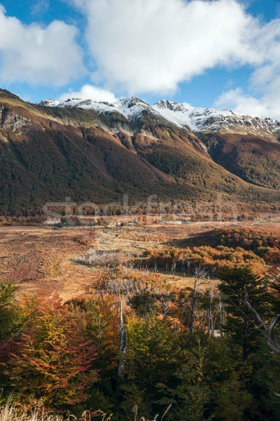 Autumn in Patagonia. Tierra del Fuego, Argentina side Stock photo © xura