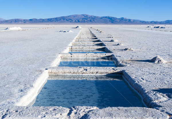 Salinas Grandes, Andes, Argentina Stock photo © xura