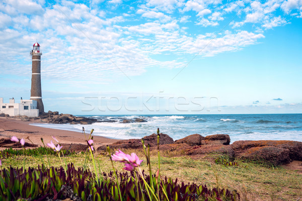 Deniz feneri Uruguay su doğa manzara deniz Stok fotoğraf © xura