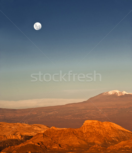 Full-moon in the Moon Valley, Atacama, Chile Stock photo © xura