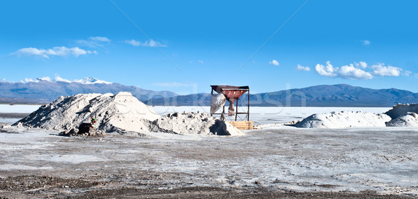 Arjantin tuz çöl daha fazla sanayi fabrika Stok fotoğraf © xura