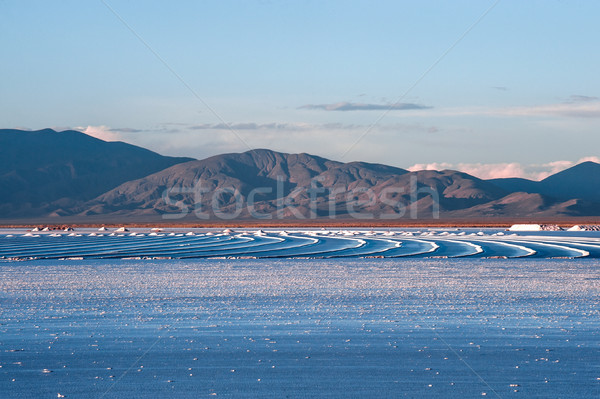 Northwest Argentina - Salinas Grandes Desert Landscape Stock photo © xura