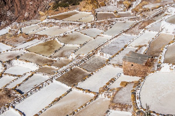 Salinas de Maras, the traditional inca salt field in Maras near  Stock photo © xura