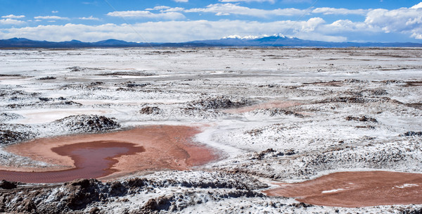Zdjęcia stock: Północny · zachód · Argentyna · pustyni · krajobraz · soli · przemysłowych