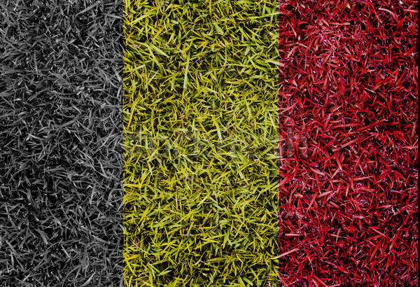 Belgium Flag color grass texture background Stock photo © yanukit
