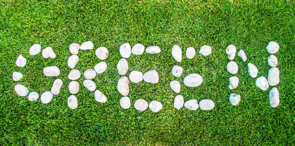 green message with stone Stock photo © yanukit