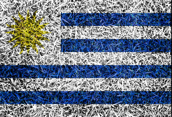 Uruguay Flag color grass texture background Stock photo © yanukit