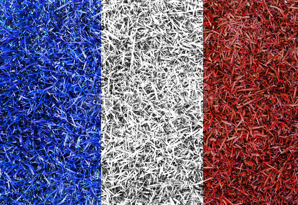 France Flag color grass texture background Stock photo © yanukit