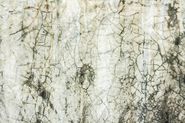 dirty cement wet wall Stock photo © yanukit