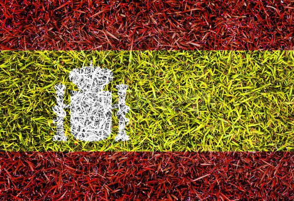 Sweden Flag color grass texture background Stock photo © yanukit