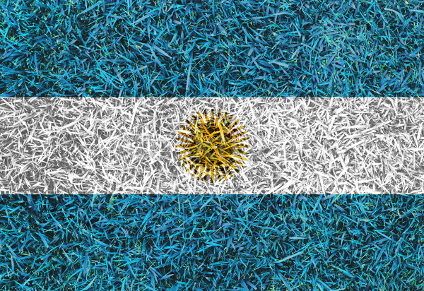 Argentina Flag color grass texture background Stock photo © yanukit