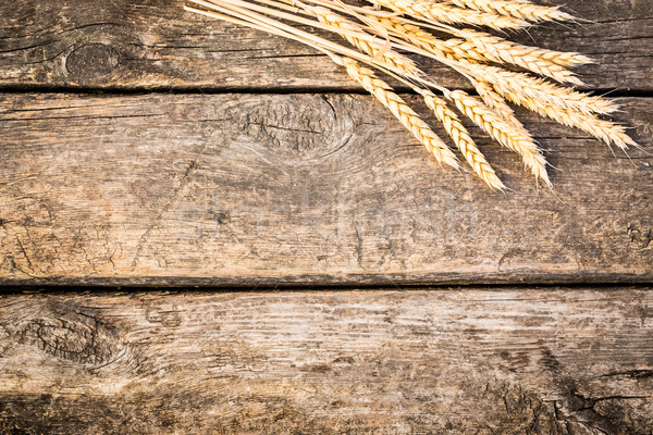 Autumn wheat on old wood texture Stock photo © Yaruta