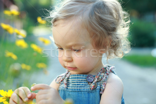 My little garden Stock photo © Yaruta