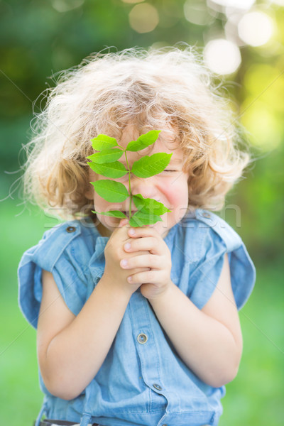 Dziecko młodych roślin wiosną zielone Zdjęcia stock © Yaruta