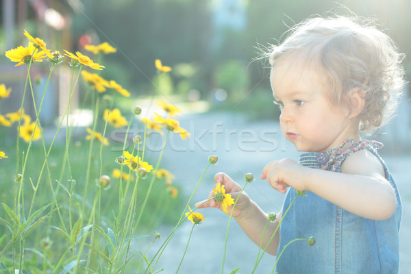 Wenig Garten Sommer Dunst Kind Stock foto © Yaruta