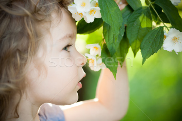 çocuk yasemin çiçek güzel bahar yeşil Stok fotoğraf © Yaruta