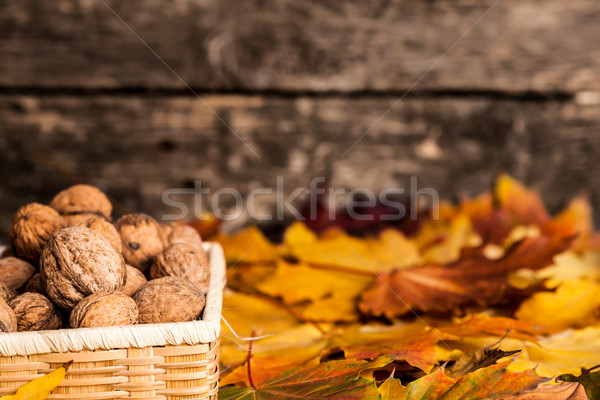 Stock photo: Autumn border with walnuts