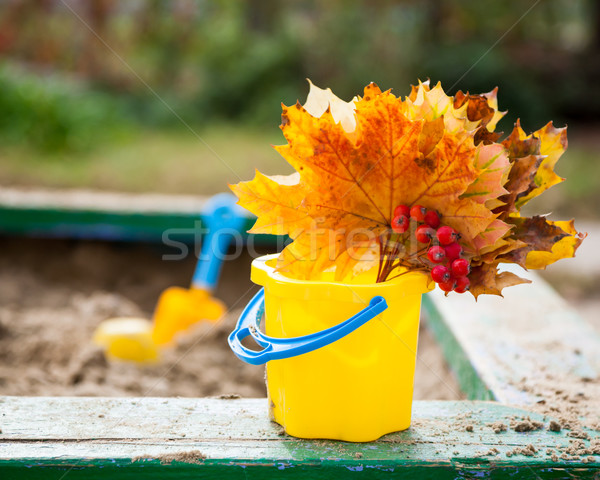 Bouquet érable laisse aire de jeux automne fond Photo stock © Yaruta