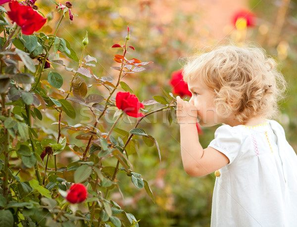 Gyönyörű gyermek rózsa tavasz virágos boldog Stock fotó © Yaruta