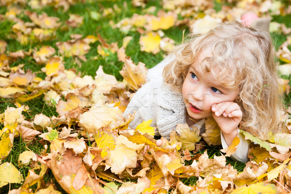 [[stock_photo]]: Portrait · enfant · automne · belle · jaune · érable