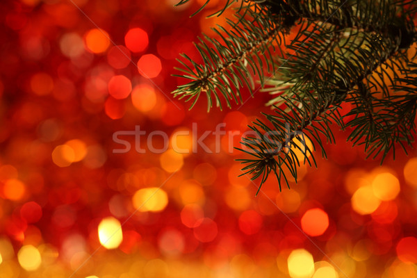 Ramo albero di natale luce rossa sfondo rosso oro Foto d'archivio © Yaruta