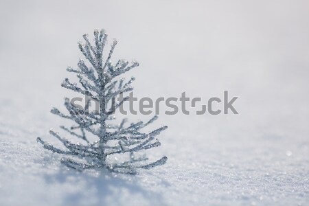Zdjęcia stock: Srebrny · choinka · dekoracji · śniegu · real · odkryty
