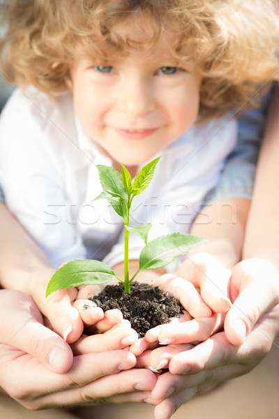 Stock photo: Young green plant