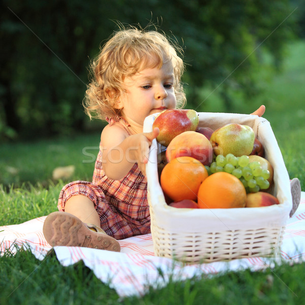 Piknik parku dziecko lata płytki Zdjęcia stock © Yaruta