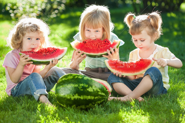 Kinder Picknick Sommer Gruppe glücklich Kinder Stock foto © Yaruta