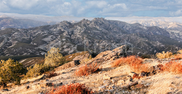 High Peaks volcanic rocks (Pinnacles) from North Chalone Peak. Stock photo © yhelfman