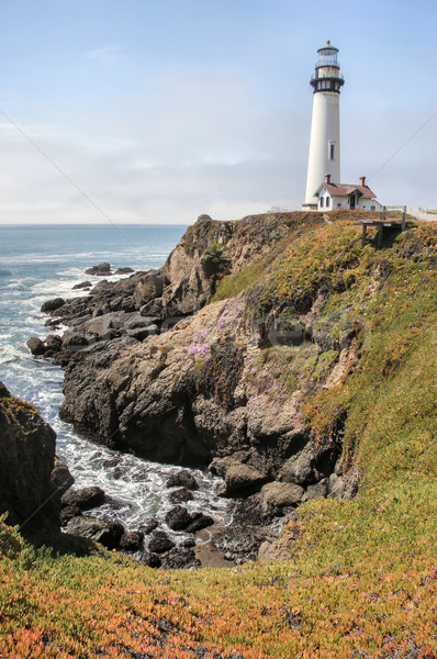Pigeon Point Lighthouse, Pescadero, California Stock photo © yhelfman