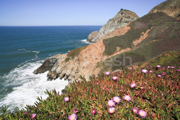 Csúszda merő sziklák tengerparti Kalifornia fenséges Stock fotó © yhelfman