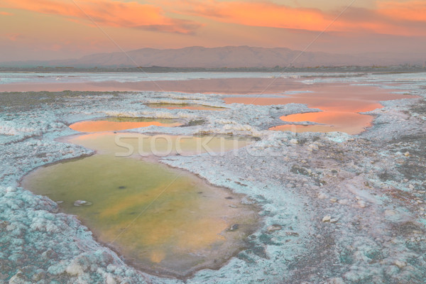 Bay Area Salt Ponds Sunset. Stock photo © yhelfman