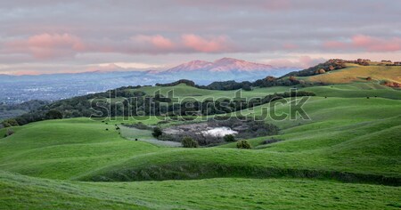 日落 綠色的 丘陵 加州 商業照片 © yhelfman