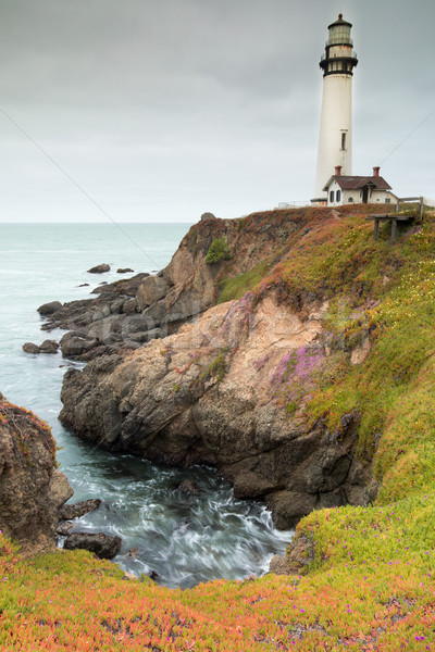 Overcast Sky in Springtime at Pigeon Point Lighthouse. Stock photo © yhelfman
