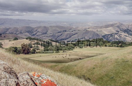 Stockfoto: Noordelijk · Californië · landschap · wildernis · parcours · missie