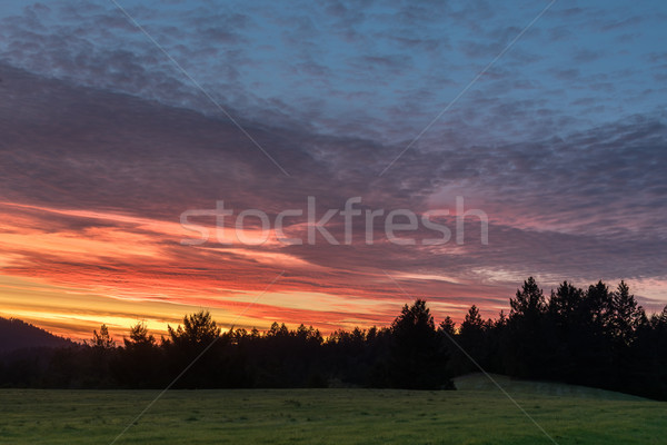 Colorful Sunset at Sam McDonald County Park. Stock photo © yhelfman