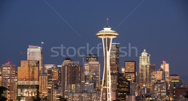 Centro Seattle Washington view skyline parco Foto d'archivio © yhelfman