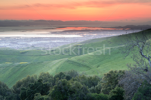 Stok fotoğraf: Dramatik · gün · batımı · park · bahar · çim