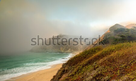 Fog Creeping in at Gray Whale Cove State Beach. Stock photo © yhelfman