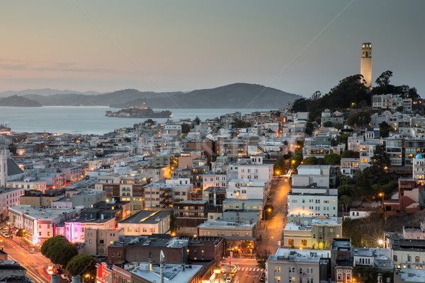 San Francisco in Blue and Gold Stock photo © yhelfman