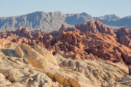 Fire Canyon and Silica Dome, Valley Of Fire State Park, Nevada, USA Stock photo © yhelfman