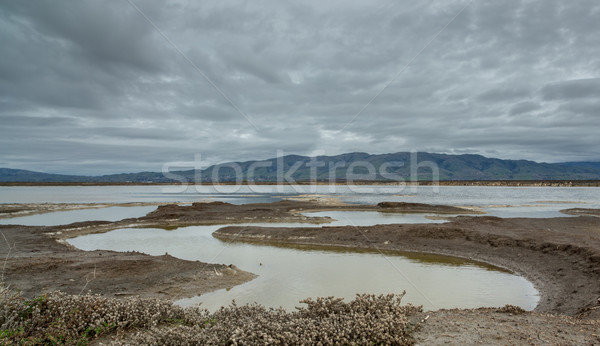 East bay mountains on a cloudy day. Alviso Marina County Park, Santa Clara County, CA Stock photo © yhelfman