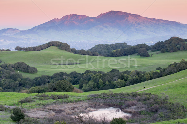 Sunset over Rolling Grassy Hills and Diablo Range of Northern California Stock photo © yhelfman