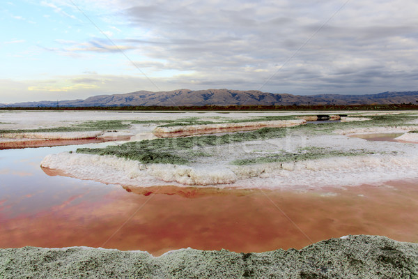 Colors of Salt Ponds. Stock photo © yhelfman